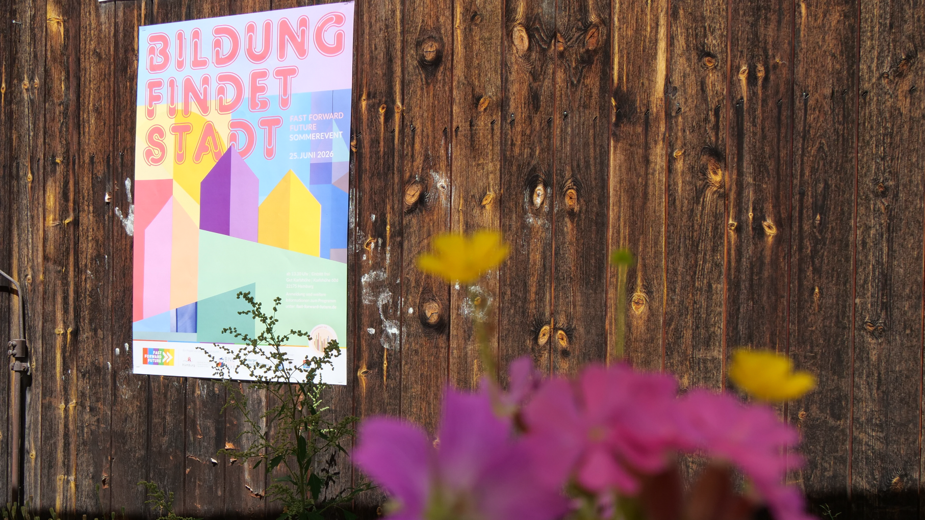 Sommer-Event des Hamburger Masterplans BNE 2030: Gemeinsam Zukunft gestalten
